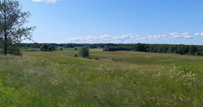 działka pod agroturystykę działka pod agroturystykę