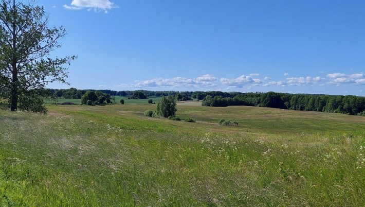 łąki i pastwiska łąki i pastwiska