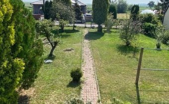 ogród