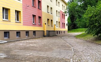 elewacja