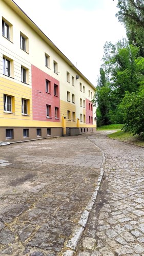 elewacja