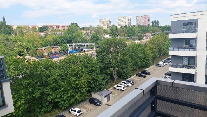 widok